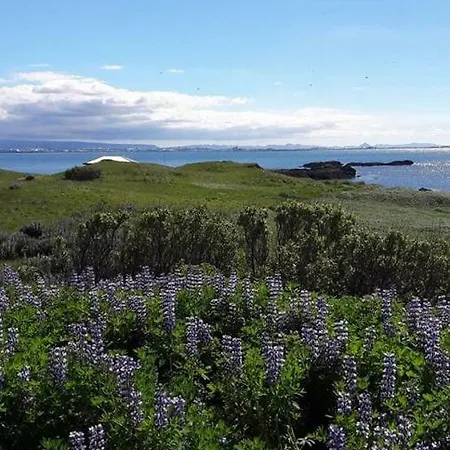 Nesvik, A Unique Nature Getaway Near * רייקיאוויק