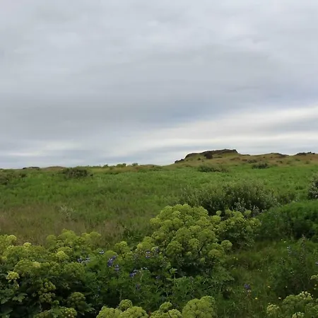 Nesvik, A Unique Nature Getaway Near *