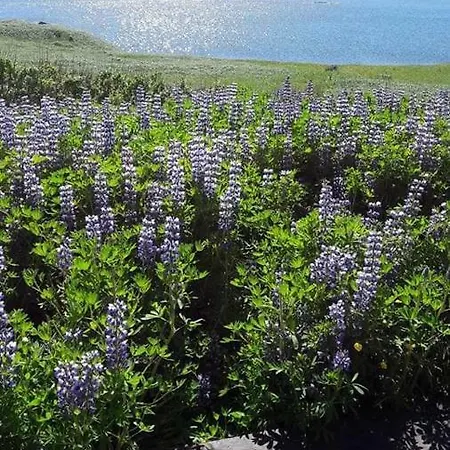 Nesvik, A Unique Nature Getaway Near